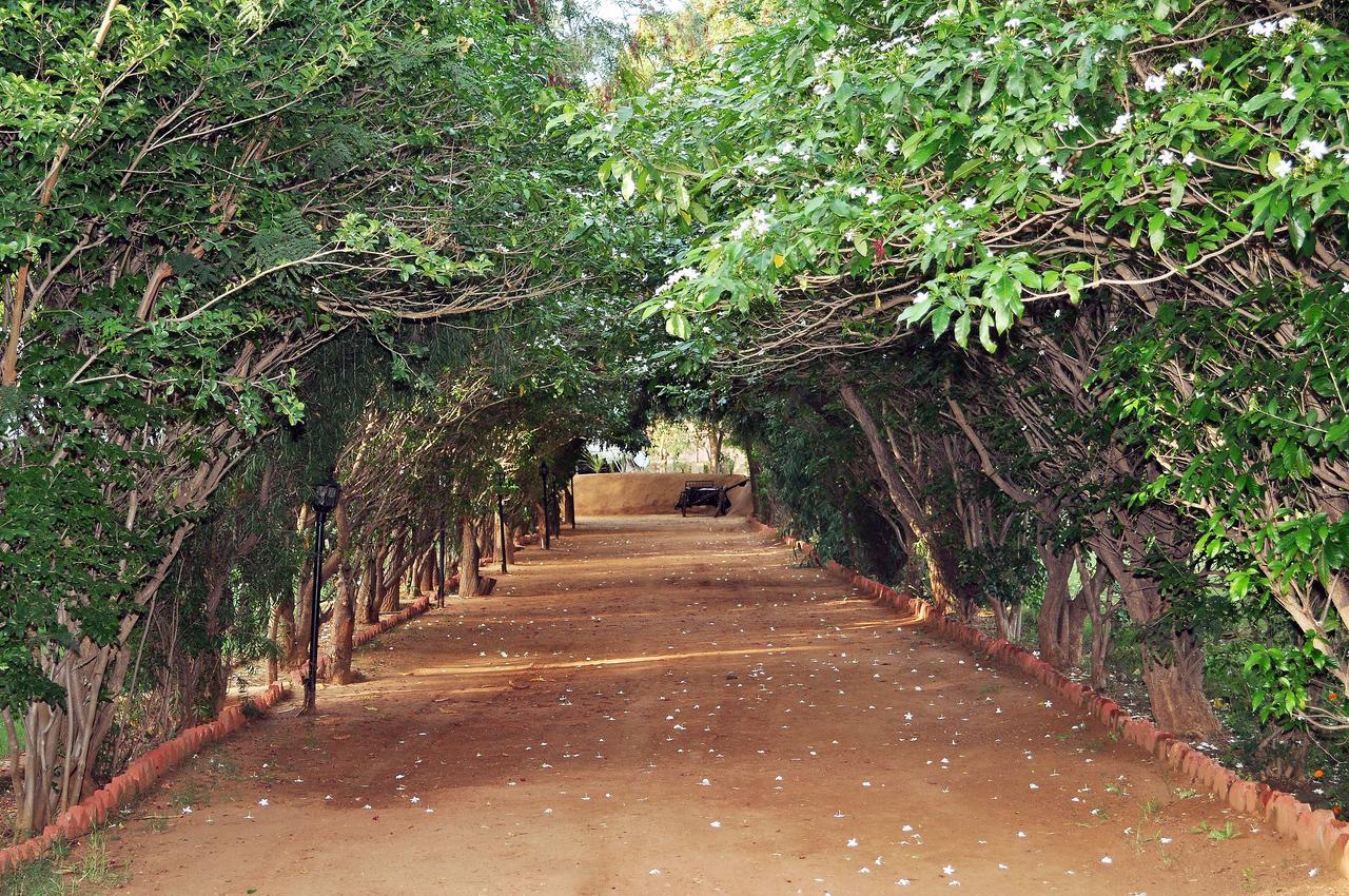Tiger Machan Resort Ranthambore Exterior foto